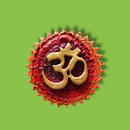 Om Wall Mural